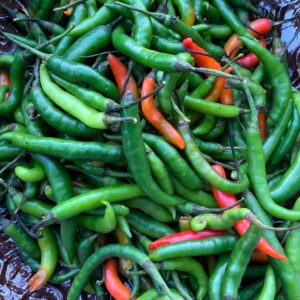 Chile Serrano