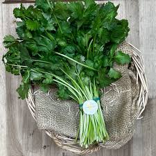 Cilantro Fresco