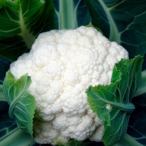 Coliflor Blanca