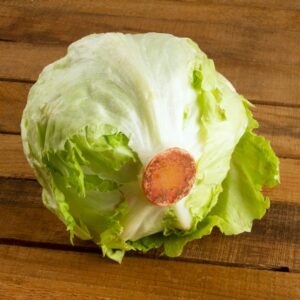Lechuga Romana